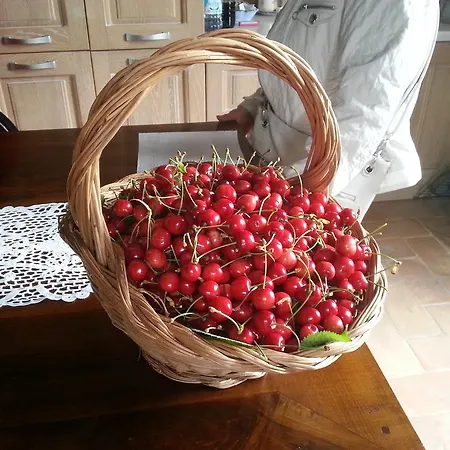 Casa di campagna Campogrande *